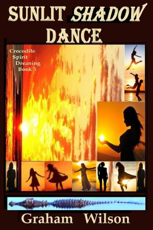 Cover of the book Sunlit Shadow Dance by Ann Macela