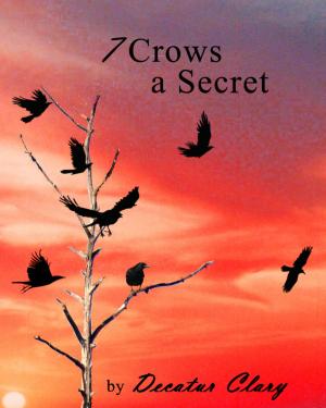 Cover of the book 7 Crows, A Secret by Ingersoll Lockwood