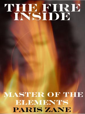 Cover of the book The Fire Inside by C. J. Baker