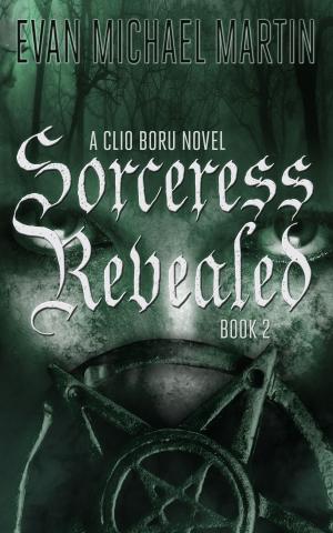 Cover of the book Sorceress Revealed by Paulette Agnew