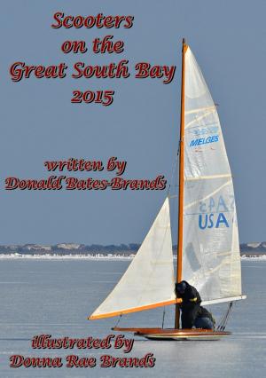 Book cover of Scooters on the Great South Bay 2015