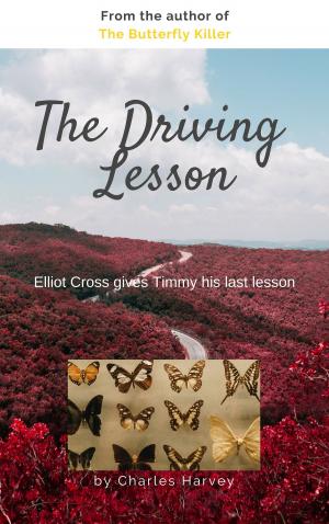 Book cover of The Driving Lesson