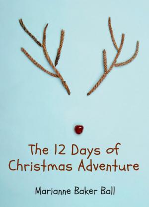 Cover of The 12 Days of Christmas Adventure
