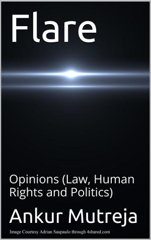 Book cover of Flare: Opinions (Law, Human Rights and Politics)