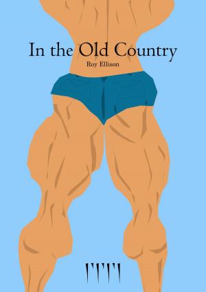 Book cover of In the Old Country