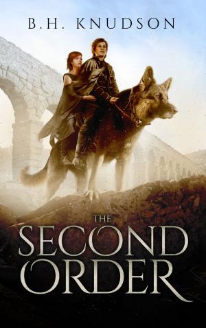Book cover of The Second Order