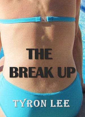 bigCover of the book The Break Up by 