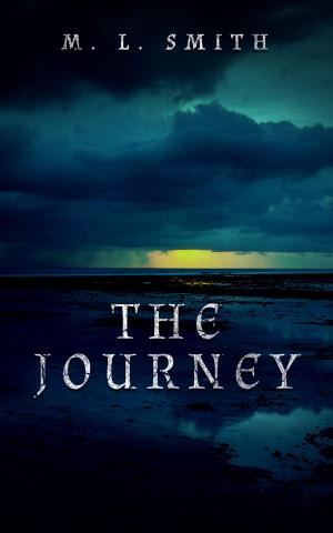 Cover of the book The Journey by T.C. Mill