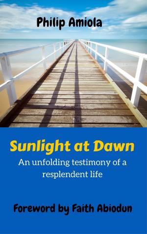 Cover of the book Sunlight at Dawn by Sergei Boissier