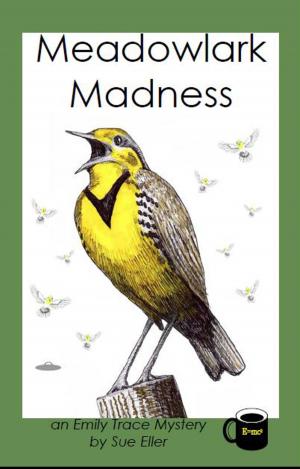 Cover of the book Meadowlark Madness: an Emily Trace Mystery by Christine Trent