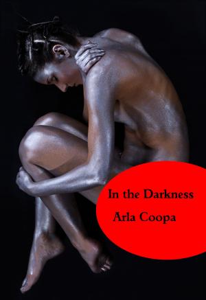 bigCover of the book In the Darkness by 