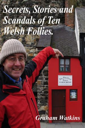 Book cover of Secrets, Stories and Scandals of Ten Welsh Follies.