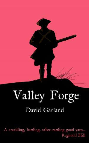 Cover of the book Valley Forge by Sara Hoskinson Frommer