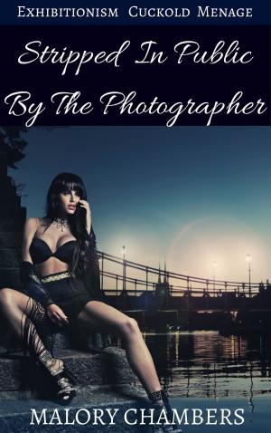 Cover of Stripped In Public By The Photographer (Exhibitionism Cuckold Ménage)