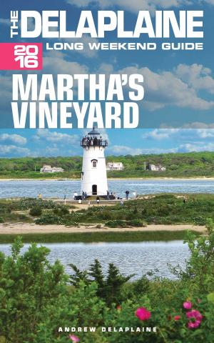 Book cover of Martha's Vineyard: The Delaplaine 2016 Long Weekend Guide