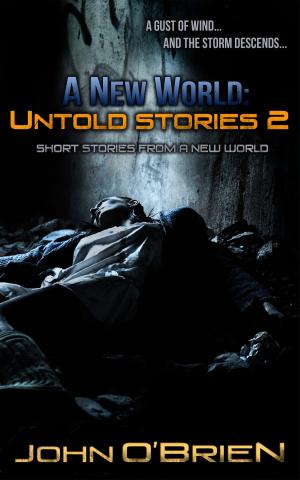 Cover of the book A New World: Untold Stories 2 by Christina Ochs