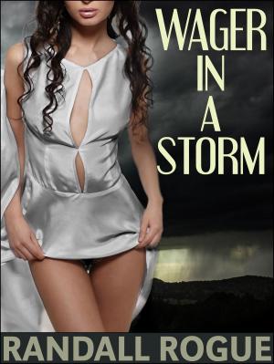 bigCover of the book Wager in a Storm by 