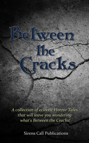 Cover of the book Between the Cracks by John Mc Caffrey