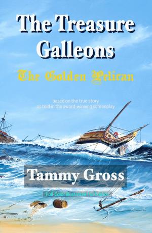 bigCover of the book The Treasure Galleons: The Golden Pelican by 