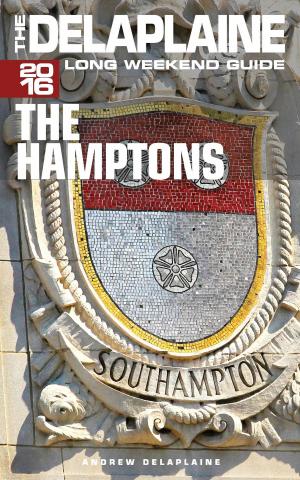 Book cover of The Hamptons: The Delaplaine 2016 Long Weekend Guide
