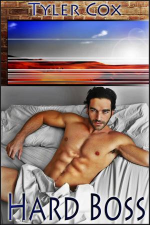 Book cover of Hard Boss (Gay MM Erotic Romance)