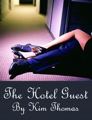 Cover of the book The Hotel Guest by Chandra Jay