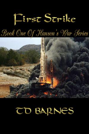 Cover of the book First Strike: Jihad America by TD Barnes