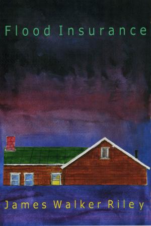 Cover of the book Flood Insurance by Pat Alvarado