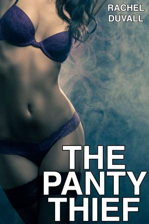 Book cover of The Panty Thief