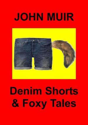 Book cover of Denim Shorts & Foxy Tales