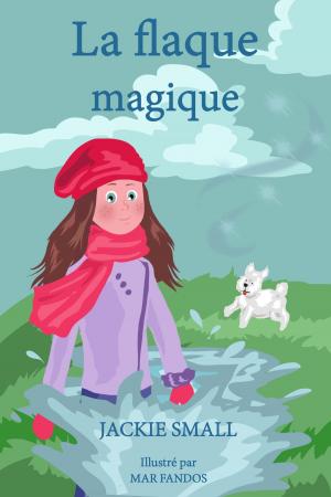 bigCover of the book La flaque magique by 