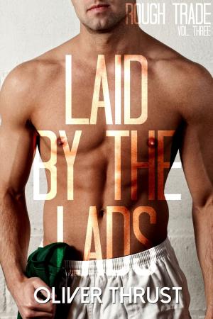 Cover of the book Laid by the Lads by Theo Stone