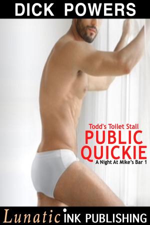 Cover of the book Todd's Toilet Stall Public Quickie by Dick Powers