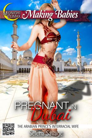 Cover of the book Pregnant in Dubai (The Arabian Prince's Interracial Wife) by Wren Winter