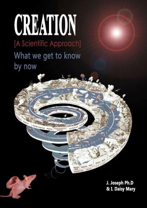 Cover of Creation: What We Get to Know by Now.: [A Scientific Approach]