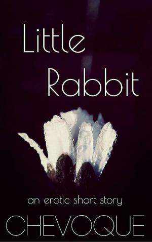 Book cover of Little Rabbit