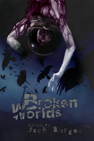 Cover of the book Broken Worlds by Patrick Bernauw