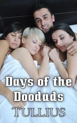 bigCover of the book Days of the Doodads by 