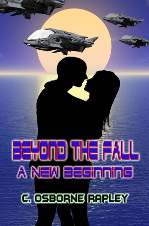 Cover of the book Beyond The Fall by Samantha Bro