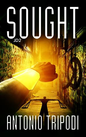 Book cover of Sought