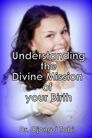 Book cover of Understanding the Divine Mission of Your Birth