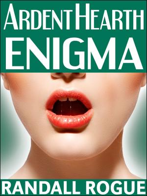 Book cover of Ardent Hearth Enigma