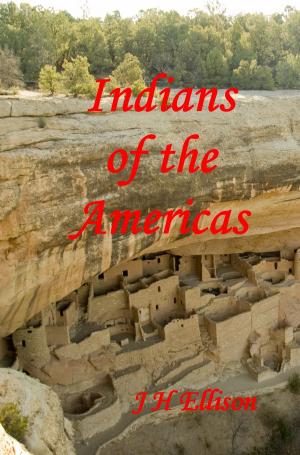 Book cover of Indians of the Americas