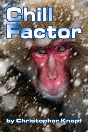 Cover of the book Chill Factor by Michael A. Ventrella, Mark Arnold