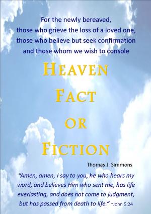 Cover of the book Heaven Fact or Fiction by Jamie Arpin-Ricci