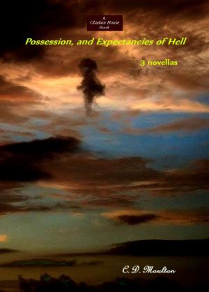 Book cover of Possession, and Expectancies of Hell