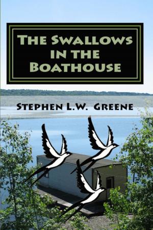Cover of the book The Swallows in the Boathouse by Digressing Me