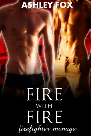 Book cover of Fire With Fire