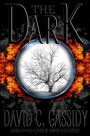 Book cover of The Dark