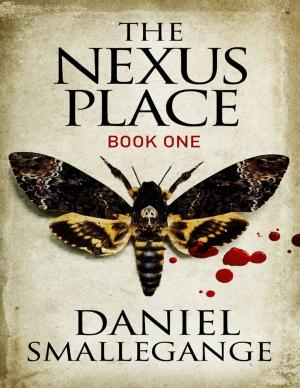 Cover of the book The Nexus Place by Anthony Hall